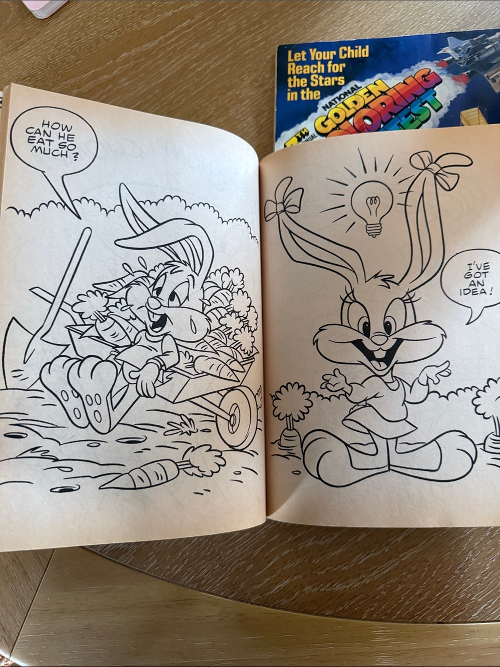 Vintage Tiny Toons and Garfield Coloring Books USED - Picture 8 of 16